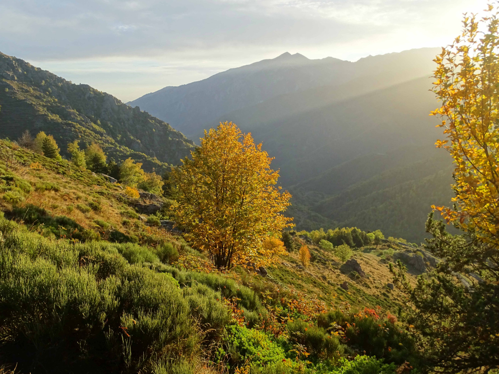Vu du col de Mantet ©CéciliaFridlender